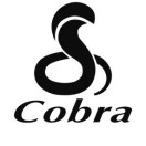 cobra美国眼镜蛇头像