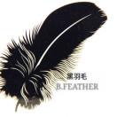 blackfeather黑羽毛头像